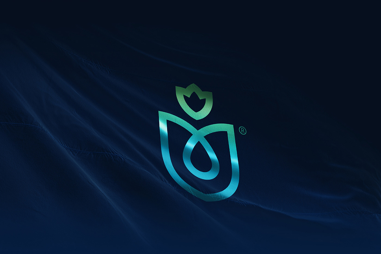 VI设计欣赏：在视觉维度上再赋予营销战略意图